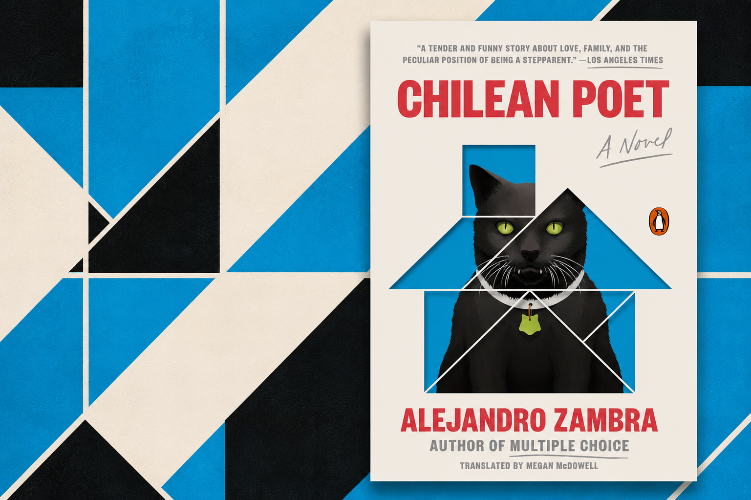Chilean Poet, by Alejandro Zambra: The Most Bolañesque Novel Ever?